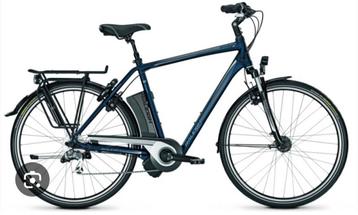 Raleigh stoker impulse elektrische herenfiets  beschikbaar voor biedingen