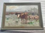 huile sur toile les vaches de albert charpin, Ophalen of Verzenden