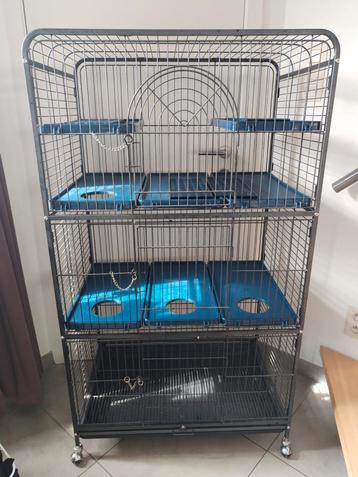 Rattenkooi beschikbaar voor biedingen