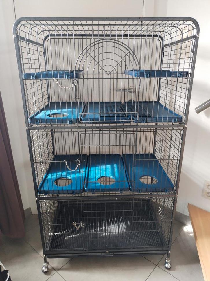 Rattenkooi, Dieren en Toebehoren, Knaagdieren en Konijnen | Hokken en Kooien, Zo goed als nieuw, Ophalen