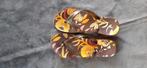 Badslippers, Kleding | Heren, Badmode en Zwemkleding, Ophalen