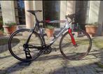 Pinarello Paris Carbon 57.5, Ophalen, Gebruikt, Carbon, Heren