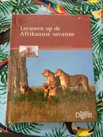 Boek - leeuwen op de Afrikaanse Savanne, Livres, Animaux & Animaux domestiques, Enlèvement ou Envoi, Neuf, Autres espèces