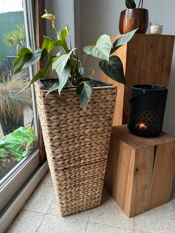 Plantenstaander van gevlochten waterhyacint incl plant beschikbaar voor biedingen