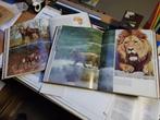 collection, Ophalen
