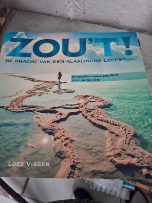 Loes Visser - Zou't!, Boeken, Mode, Zo goed als nieuw, Ophalen