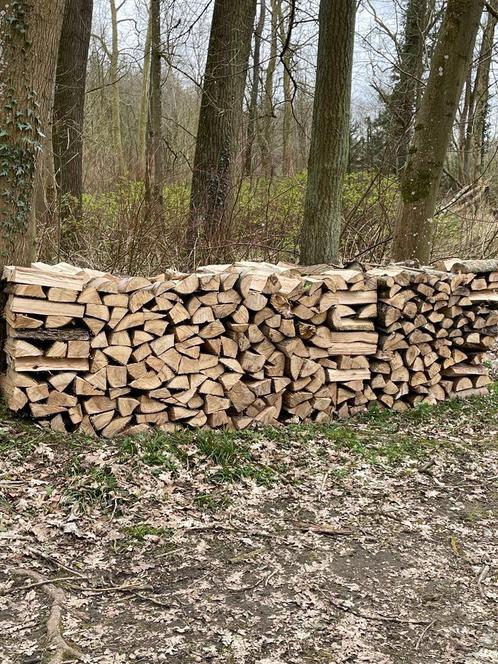 Bois de chauffage, Tuin en Terras, Brandhout, Blokken, Eikenhout, 6 m³ of meer, Ophalen of Verzenden