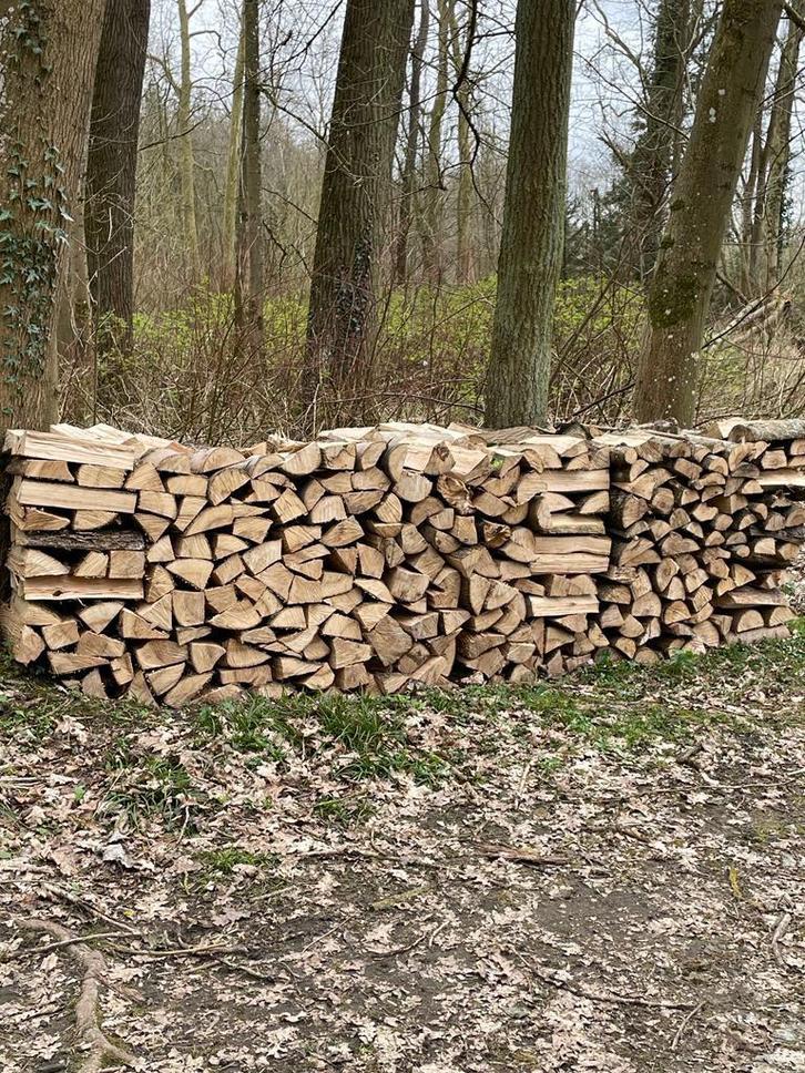 Bois de chauffage, Tuin en Terras, Brandhout, Blokken, Eikenhout, 6 m³ of meer, Ophalen of Verzenden
