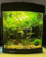 Mini aquarium AQUA40 (40 liter), Dieren en Toebehoren, Ophalen, Gebruikt, Leeg aquarium