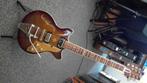 Duesenberg Alliance Series Joe Walsh, Muziek en Instrumenten, Snaarinstrumenten | Gitaren | Elektrisch, Ophalen of Verzenden, Zo goed als nieuw