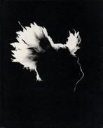 -M- – Bercy - 17.12.2010 - Blu-ray - Matthieu Chedid, Enlèvement ou Envoi, Comme neuf, Musique et Concerts