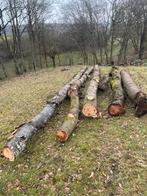 troncs de merisier et charme, Jardin & Terrasse, Bois de chauffage, Enlèvement, Autres essences de bois, Troncs d'arbres