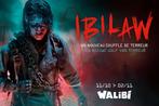 Walibi + Nocturne 2p-ticket, Tickets en Kaartjes, Concerten | Pop, Twee personen