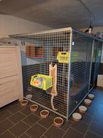 Gegalvaniseerde kennelpanelen, Animaux & Accessoires, Maisons pour chiens, Comme neuf, Enlèvement, 100 cm ou plus, Chenil chien
