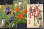 Année 1990 : Carte maximum 2357-2359 - Floralies Gantoises V, Ophalen of Verzenden