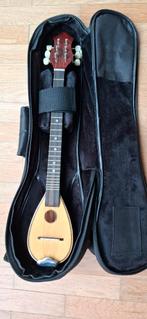Professionele Griekse baglama, Muziek en Instrumenten, Snaarinstrumenten | Gitaren | Akoestisch, Ophalen, Zo goed als nieuw