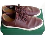 Chaussure Lacoste cuir véritable Cuir Bordeaux, Ophalen of Verzenden, Zo goed als nieuw, Overige typen