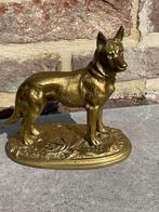 Antieke bronzen hond perfecte staat, Antiek en Kunst, Antiek | Brons en Koper, Ophalen of Verzenden, Brons