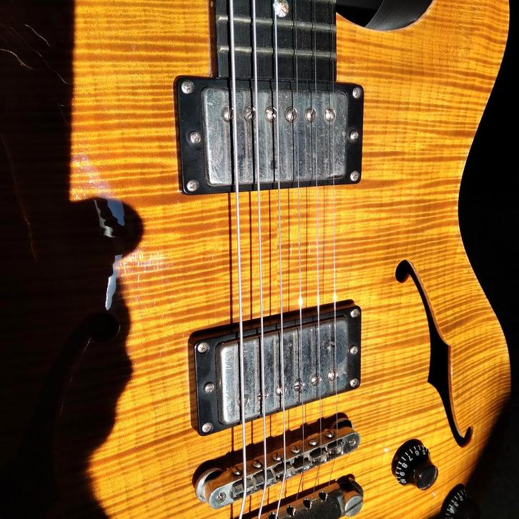 Nik Huber rietbergen, Muziek en Instrumenten, Snaarinstrumenten | Gitaren | Elektrisch, Zo goed als nieuw, Semi-solid body, Overige merken