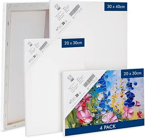 acrylverf canvas set voor waterschilderen | GRATIS LEVERING, Hobby en Vrije tijd, Schilderen, Acrylverf, Verzenden