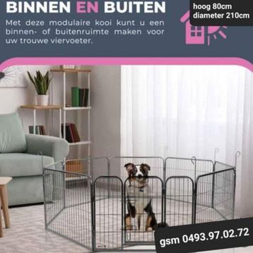 puppyren hondenren NIEUW verschillende maten