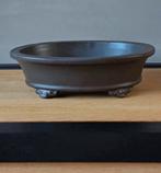 Prachtige Japanse bonsai potten samen te koop., Tuin en Terras, Bloempotten, Nieuw, Ophalen of Verzenden, Minder dan 40 cm, Balkon