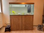 Aquarium 239liter+ alle toebehoren (met eventueel axolotl), Dieren en Toebehoren, Gebruikt, Ophalen