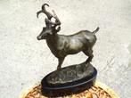 bronzen hert op een gesigneerde marmeren sokkel., Antiek en Kunst, Ophalen, Brons