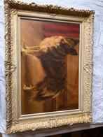 schilderij Border collie, Antiek en Kunst, Kunst | Schilderijen | Klassiek, Ophalen