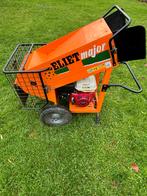 eliet major hakselaar, Enlèvement, Essence, Eliet