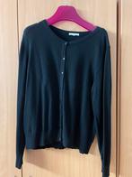 Zwarte golf, Vêtements | Femmes, Pulls & Gilets, Enlèvement, Comme neuf, Noir