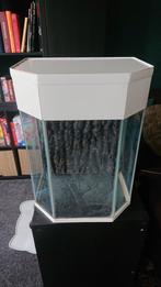Leuk aquarium/terrarium, Animaux & Accessoires, Enlèvement, Utilisé, Aquarium vide