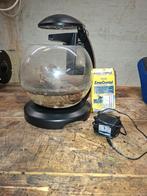 Aquarium, Dieren en Toebehoren, Ophalen, Zo goed als nieuw, Leeg aquarium