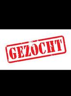 Recreatiepaardje (merrie) gezocht, Dieren en Toebehoren, Merrie