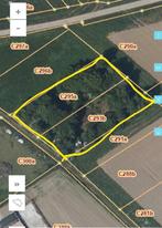 Boomgaard te koop, Immo