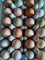 Scharreleieren, Diversen, Ophalen