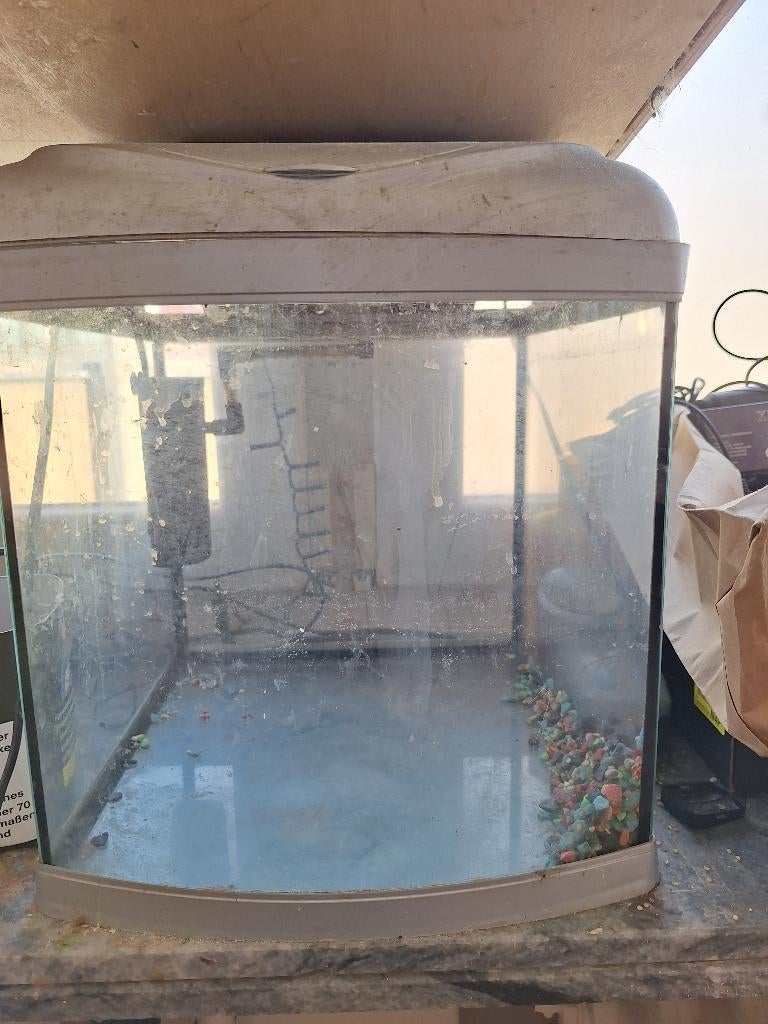 Kleine aqarium, Dieren en Toebehoren, Ophalen