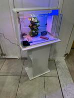 Aquarium met kast, Dieren en Toebehoren, Ophalen, Zo goed als nieuw