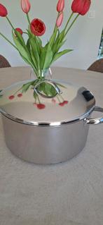 Silvinox Demeyere kookpot., Huis en Inrichting, Keuken | Potten en Pannen, Kookpan of Snelkookpan, Inox, Keramische plaat, Ophalen of Verzenden