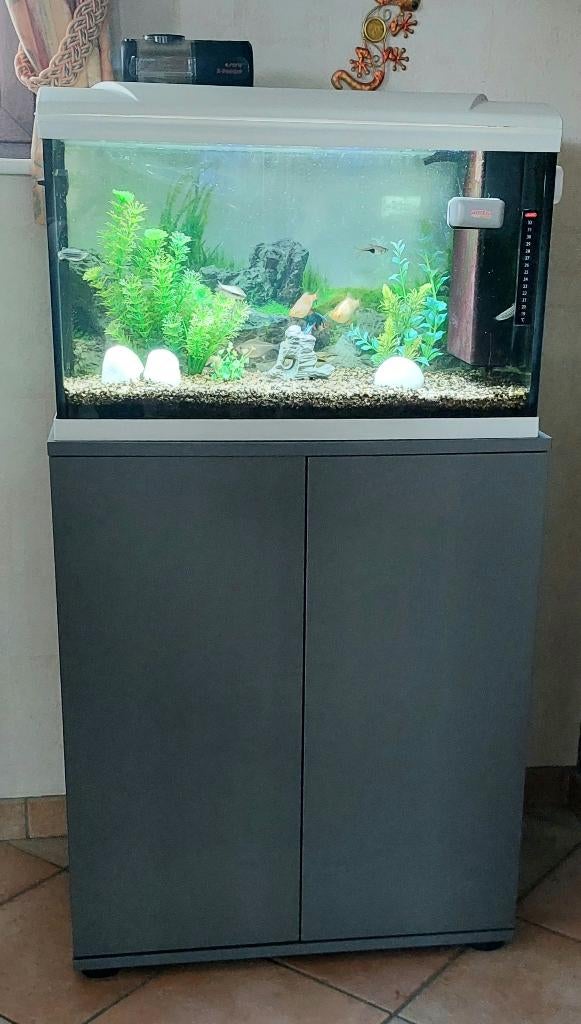 Aquarium 70 litres avec poissons et meuble, Animaux & Accessoires, Poissons | Aquariums & Accessoires, Enlèvement