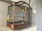 Antieke vogelkooi met kanaries en accessoires, Ophalen, Gebruikt, Hout, Vogelkooi