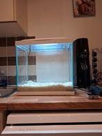 Aquarium 25 litres complet, Enlèvement