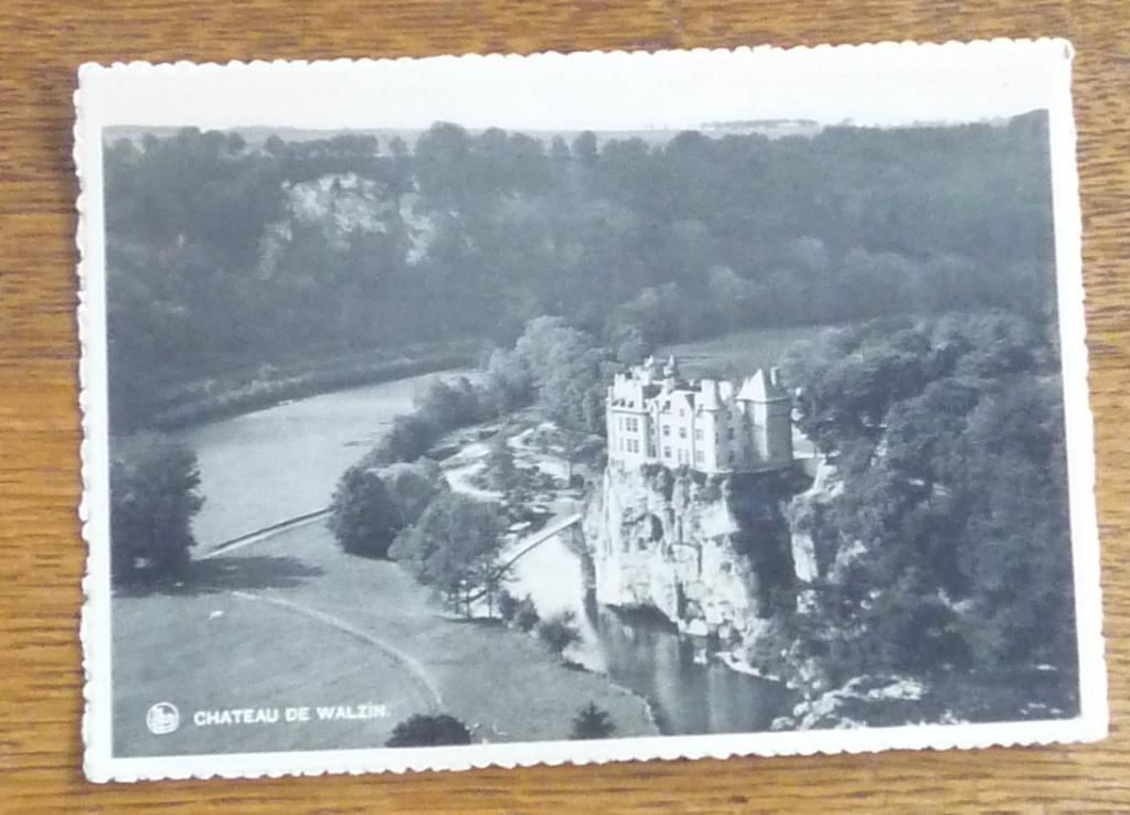Carte postale authentique : Le château de Walzin, Ophalen of Verzenden, Ongelopen, Namen