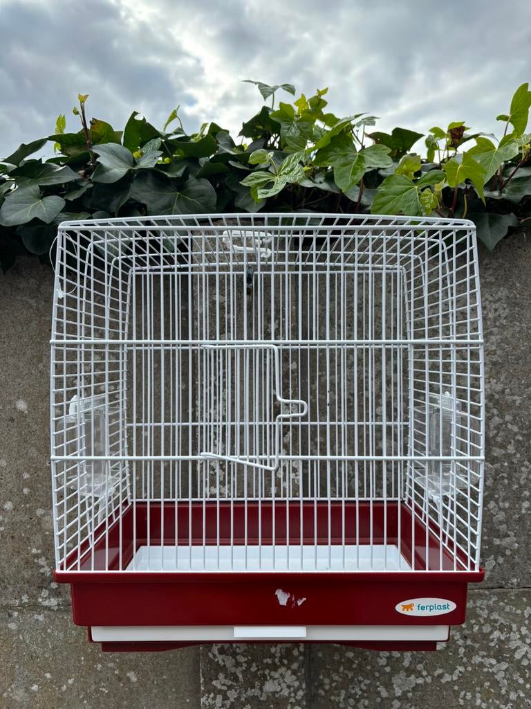 Vogelkooi h 37 x b 35 x d 23 cm, Ophalen, Zo goed als nieuw, Vogelkooi