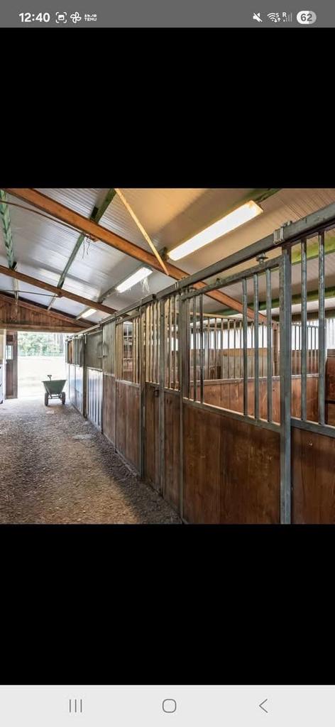 Vol pension, Dieren en Toebehoren, Stalling en Weidegang, Stalling, Weidegang, Accessoires, 4 paarden of pony's of meer