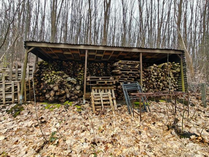 Prachtige partij Amerikaanse Eik (+15m³)–Ongekliefde stammen, Jardin & Terrasse, Bois de chauffage, Troncs d'arbres, Enlèvement