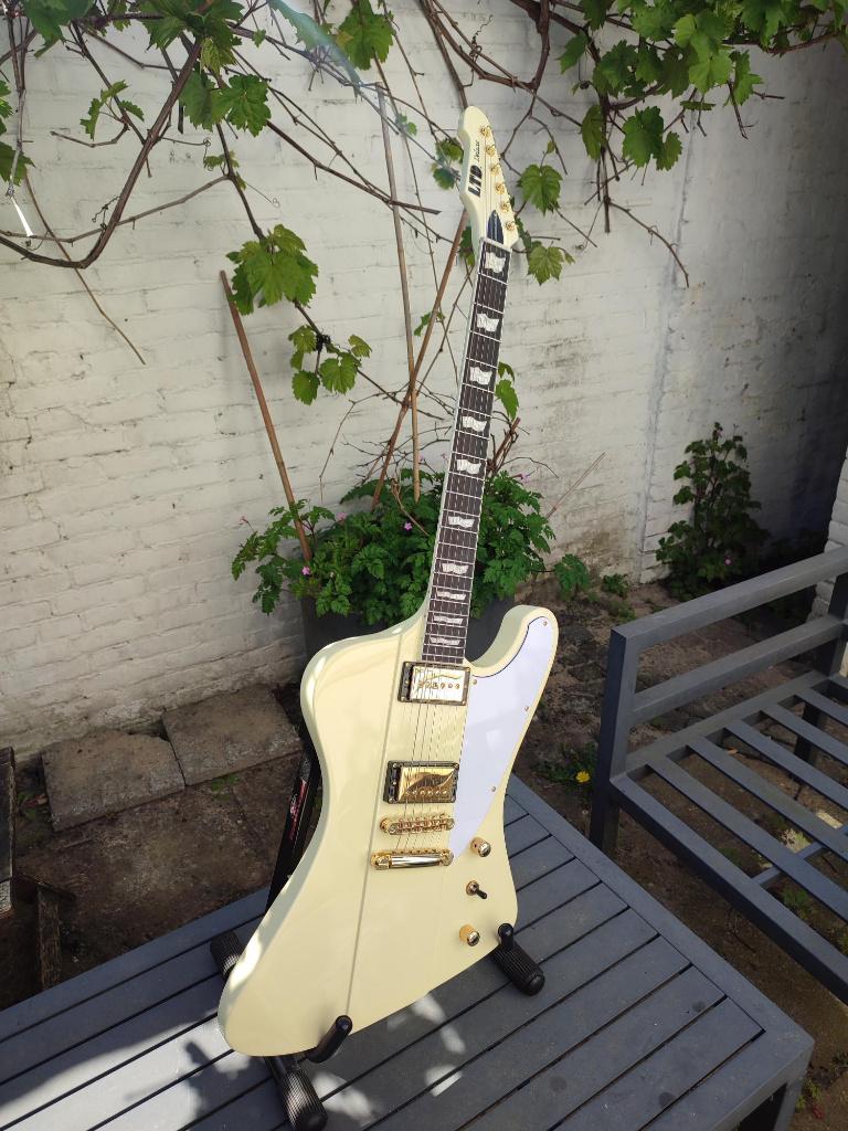 ESP LTD Phoenix-1000, Musique & Instruments, Instruments à corde | Guitares | Électriques, Neuf, Solid body, Autres marques, Enlèvement