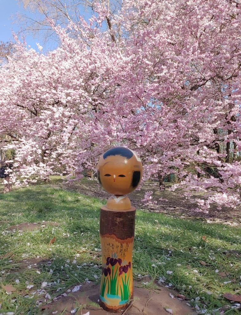 Magnifique kokeshi en écorce d'arbre Itako Ibaraki, Antiquités & Art, Art | Art non-occidental, Envoi