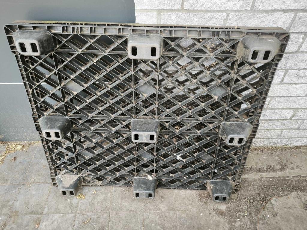 2 palettes en plastique 120x100 cm, Moins de 35 cm, Enlèvement, Utilisé, 100 cm ou plus