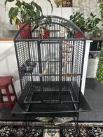 Cage pour perroquets ou oiseaux, Enlèvement, Comme neuf, Cage à oiseaux